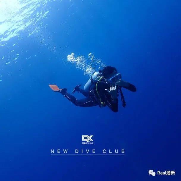 组装机械章鱼龙
